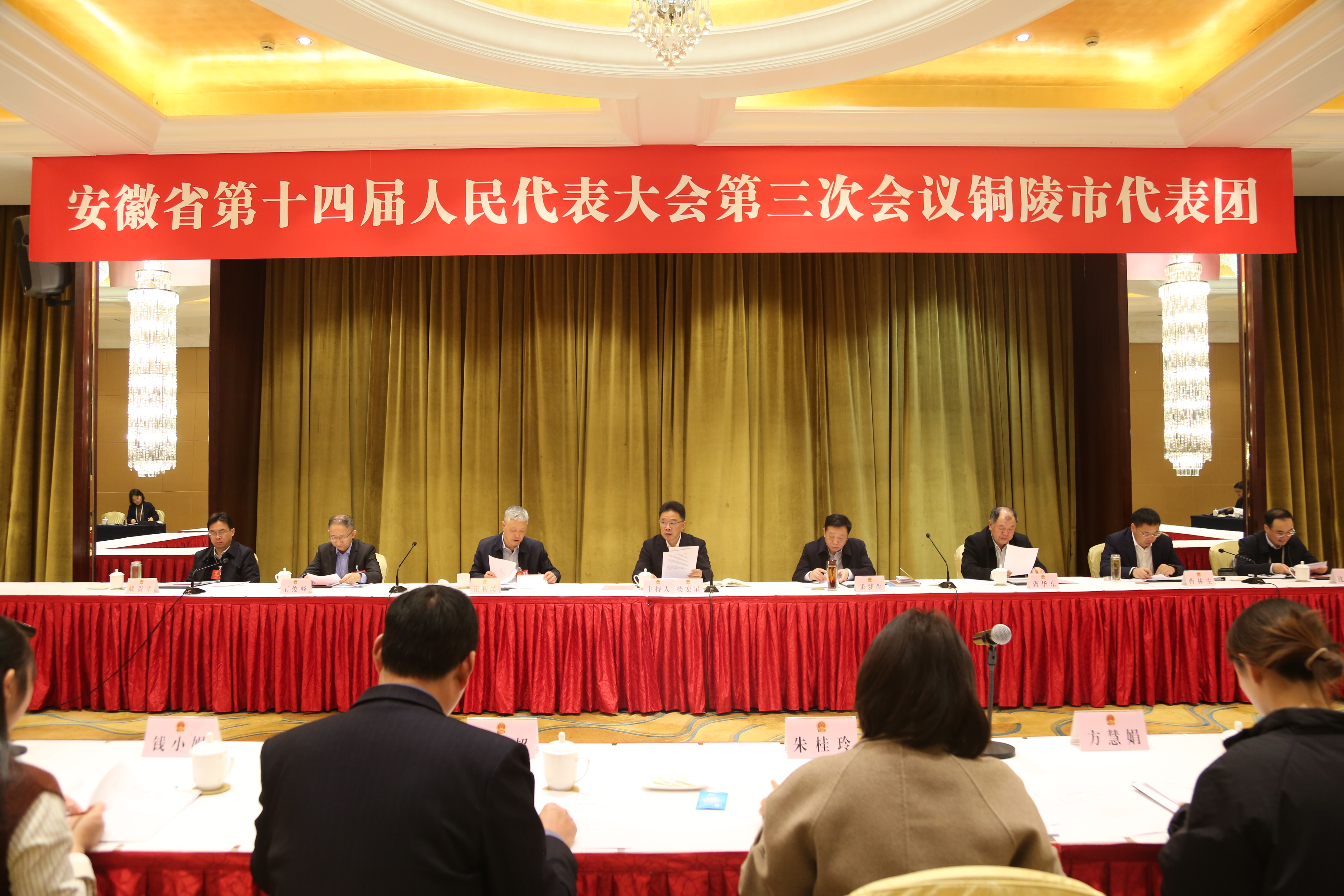 省十四屆人大三次會(huì)議銅陵代表團(tuán)全體代表會(huì)議和中共黨員會(huì)議召開</BR>楊宏星主持 張夢生等參加