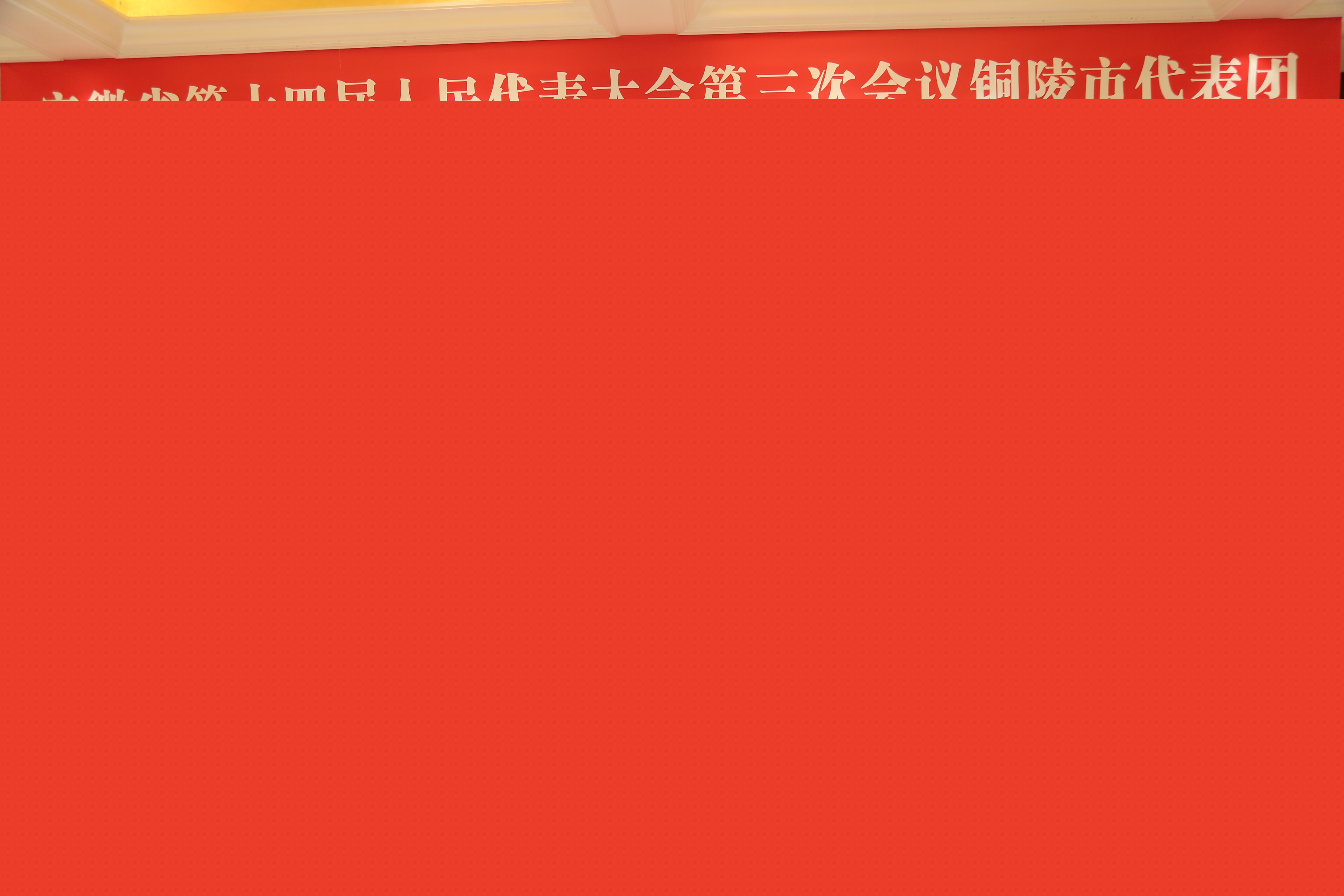 省十四屆人大三次會(huì)議銅陵代表團(tuán)繼續(xù)審議政府工作報(bào)告 審查計(jì)劃和預(yù)算報(bào)告 劉明波出席 楊宏星孔濤張夢生等參加