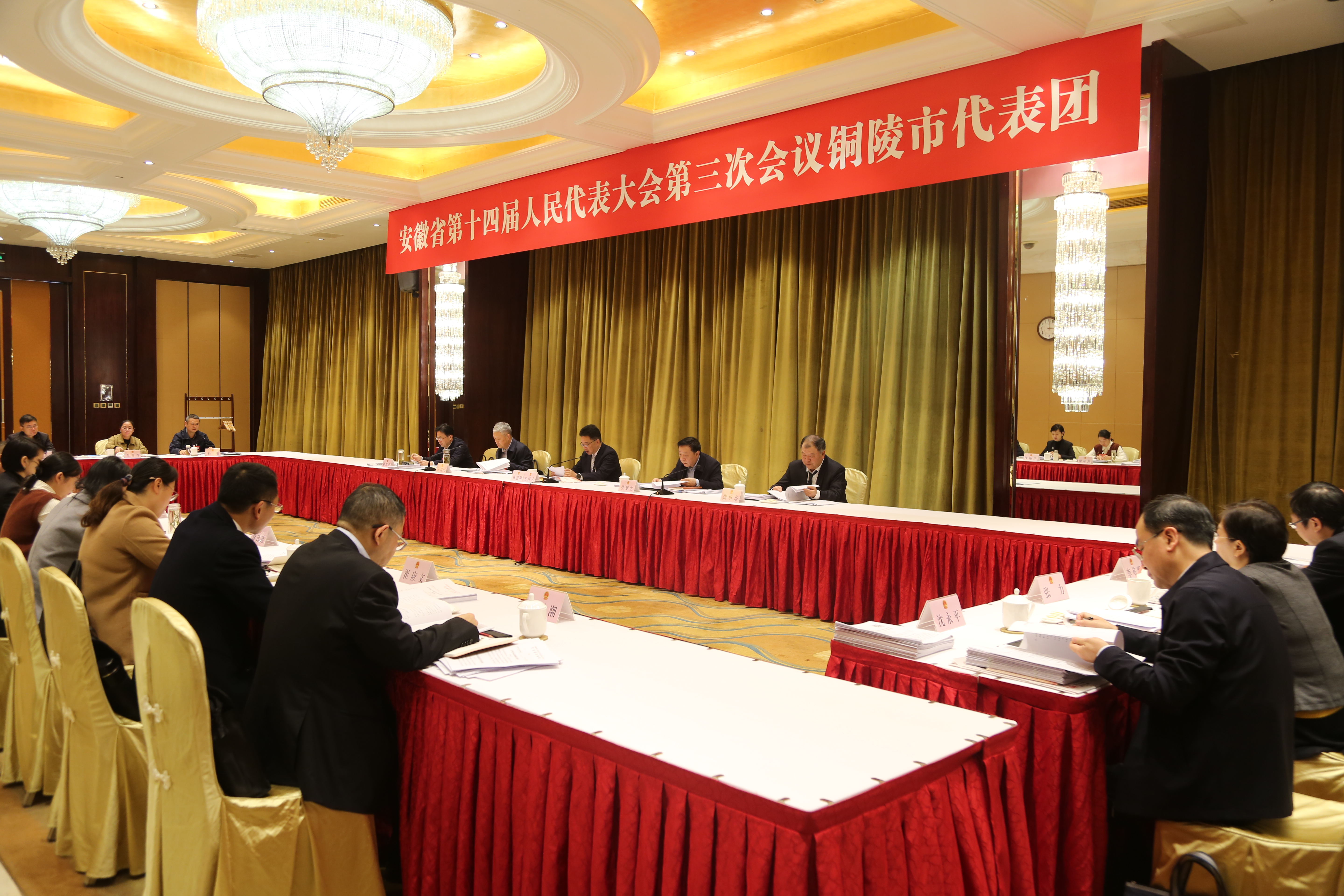 省十四屆人大三次會(huì)議銅陵代表團(tuán)審議政府工作報(bào)告 審查計(jì)劃和預(yù)算報(bào)告  楊宏星主持 張夢生等參加